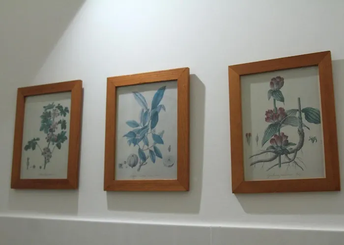 Cilento - Scaloni Alojamento de Acomodação e Pequeno-almoço